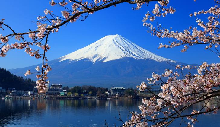 【案例分享】日本環境教育成果分享-由日本顧問Tokie Izaki撰寫